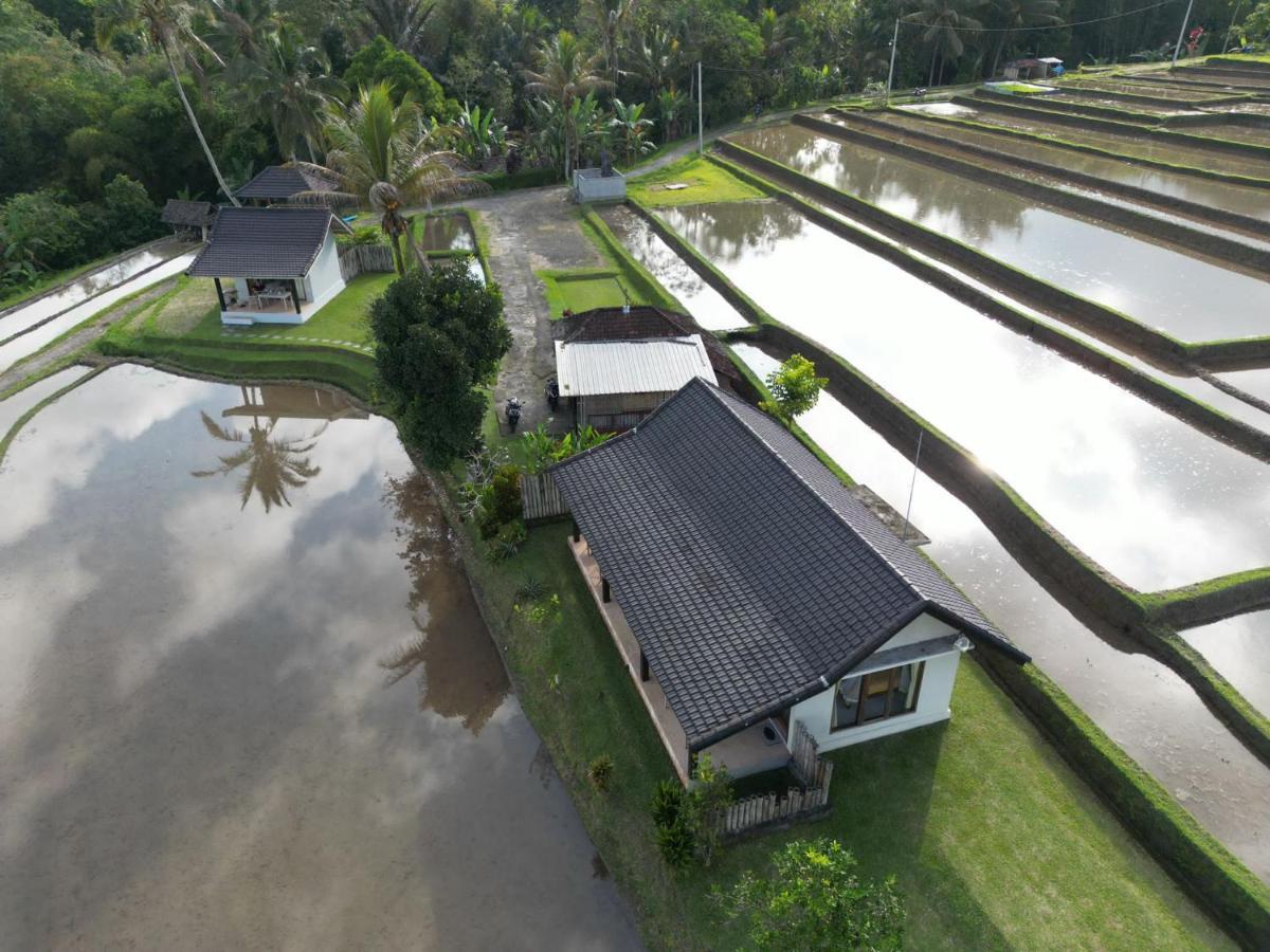 Kubu D'Ume Homestay Jatiluwih Exterior foto