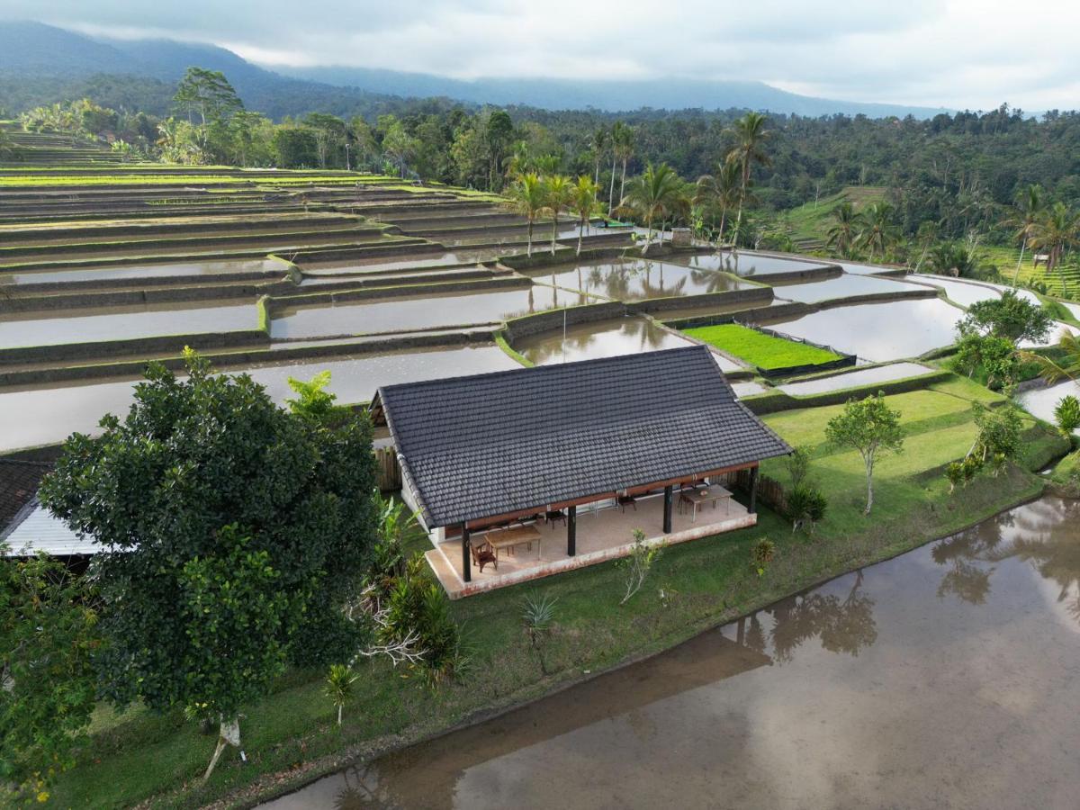 Kubu D'Ume Homestay Jatiluwih Exterior foto