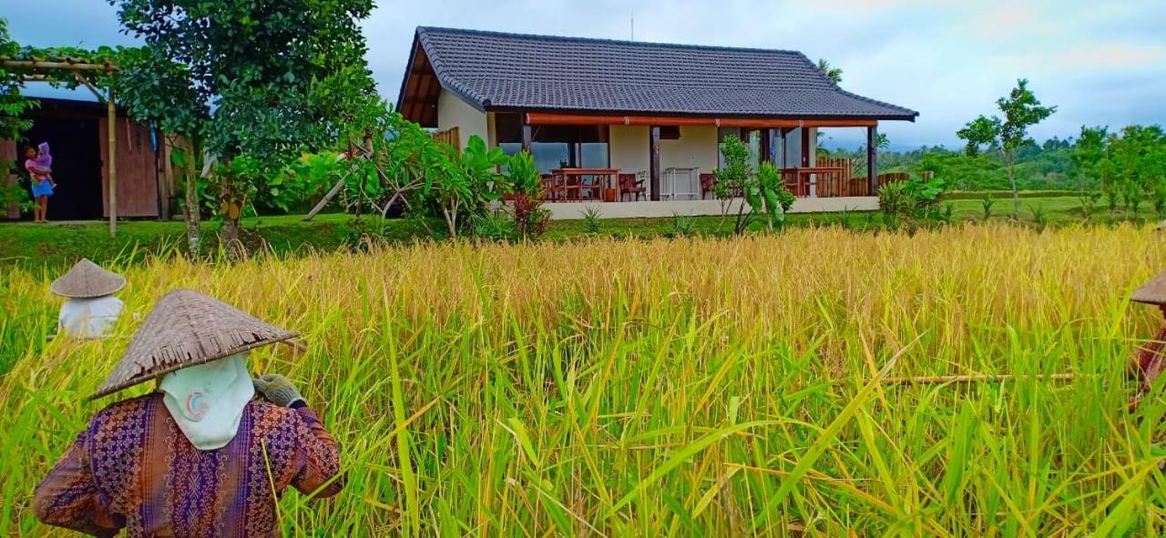 Kubu D'Ume Homestay Jatiluwih Exterior foto