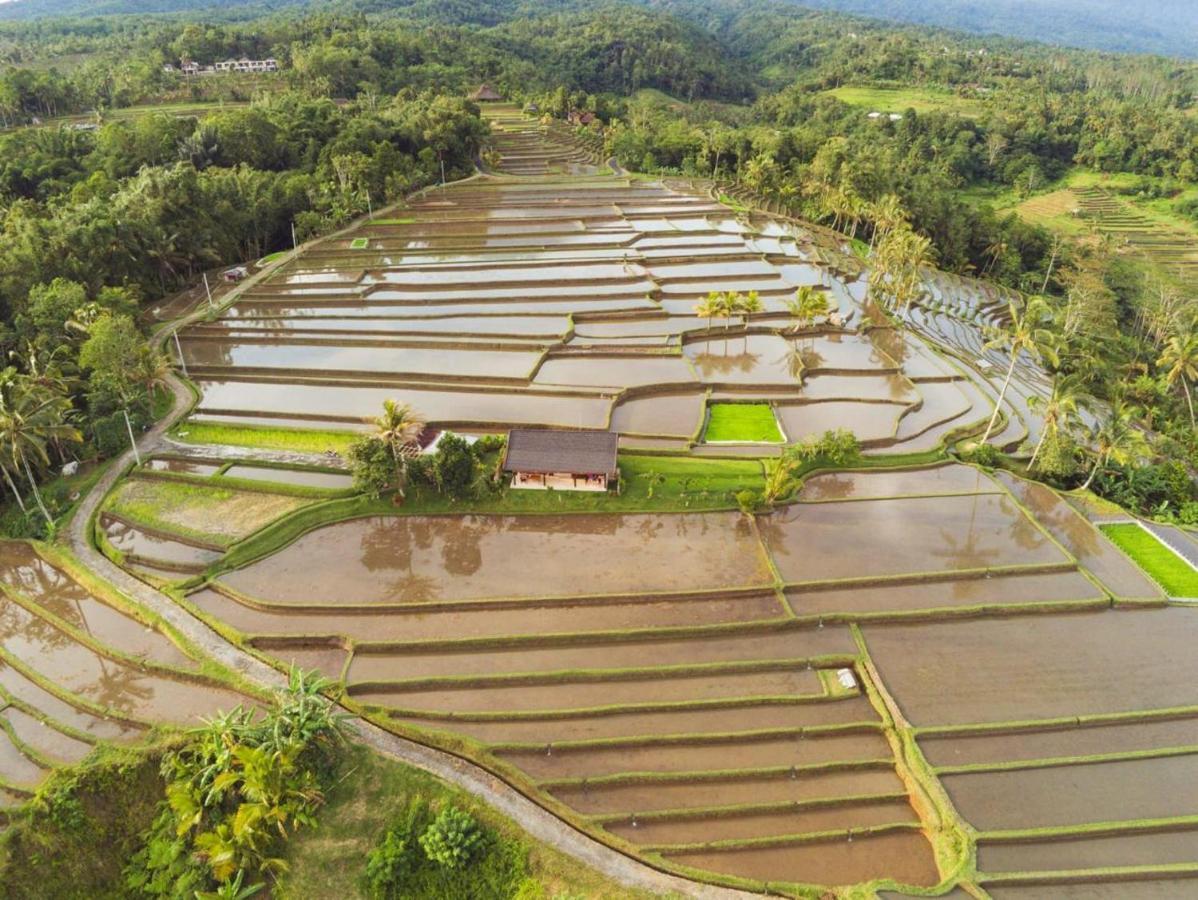 Kubu D'Ume Homestay Jatiluwih Exterior foto